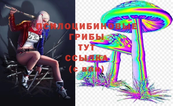 дмт Козловка