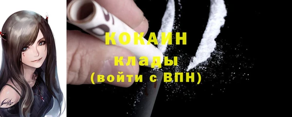 дмт Козловка