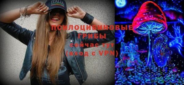 дмт Козловка