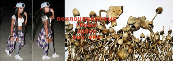 дмт Козловка