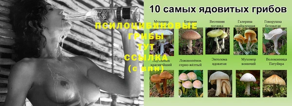 MDMA Кодинск