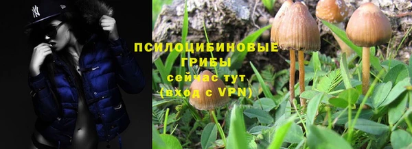 mdma Козельск