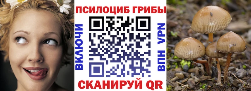 Псилоцибиновые грибы MAGIC MUSHROOMS  Шумиха 